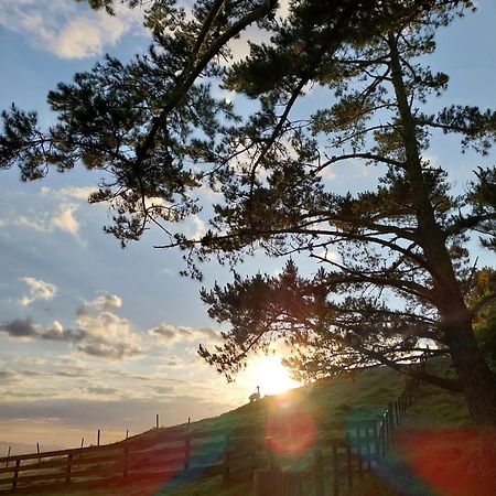 Hotel Waihi Gold Alpacas 3 Or 4 People Exterior foto